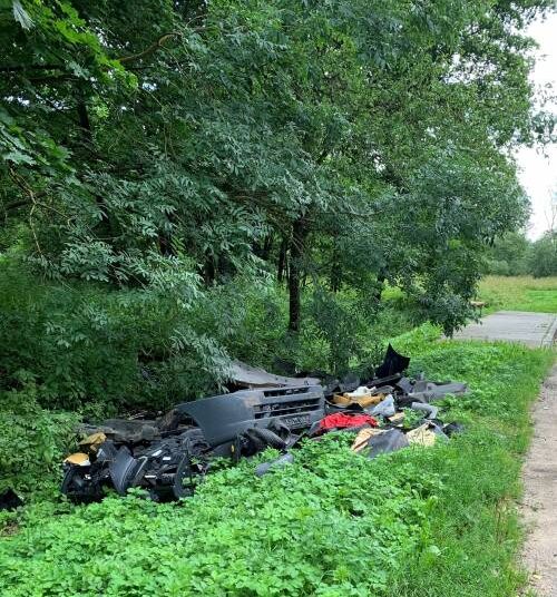 Anykščių ir Ukmergės rajonų sankirtoje užfiksuoti vaizdai. Nuotrauka iš feisbuko
