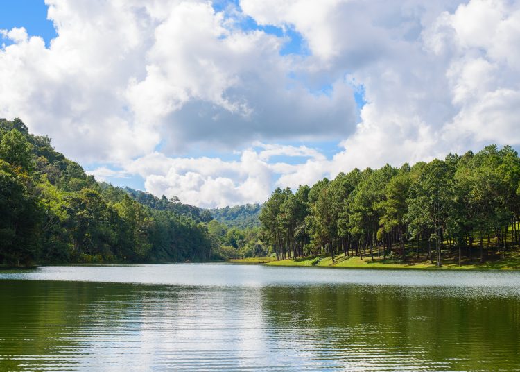 Pang-ung lake in Maehongson,Thailand.