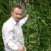 Gamtininkas, botanikas Sigutis Obelevičius sakė, kad, pasodinus svogūninių gėlių, jų tręšti nereikia.