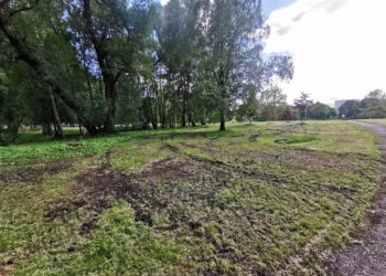 Šitaip nupjauta žolė Anykščių miesto parke papiktino anykštėnę.