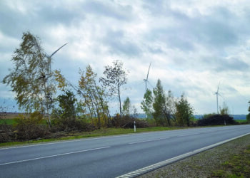 Staškūniškyje esančios elektrinės taip ir nepradėjo veikti.