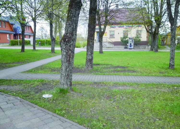 Apsvaigęs ir sukniubęs Kavarsko pagrindinės mokyklos-daugiafunkcio centro moksleivis pastebėtas ryte, pačiame Kavarsko miesto centre.