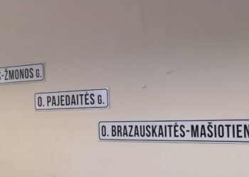 Posėdžių salėje ant sienos pakabintos lentelės su gatvių pavadinimais. Žinomų moterų pavardes pavadinimams pasiūlė LRT žurnalistai.
