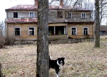 Nepriklausomybės metais Utenos regionas neteko daugiau nei 75 tūkst. gyventojų.