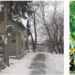 Kultūros paveldo departamento Panevėžio – Utenos teritorinio skyriaus vedėjas Arūnas Giraitis sakė, kad tokio Muziejinės kalvos atnaujinimo ir plėtros konkurso apskritai nebuvo galima skelbti.