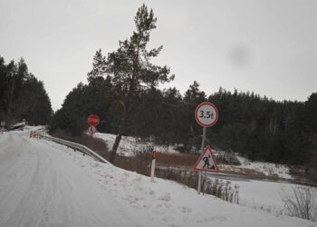 Nors yra ženklas, liudijantis apie ribotą masę iki 3,5 tonos, miškavežių vairuotojai šios taisyklės nesilaiko.