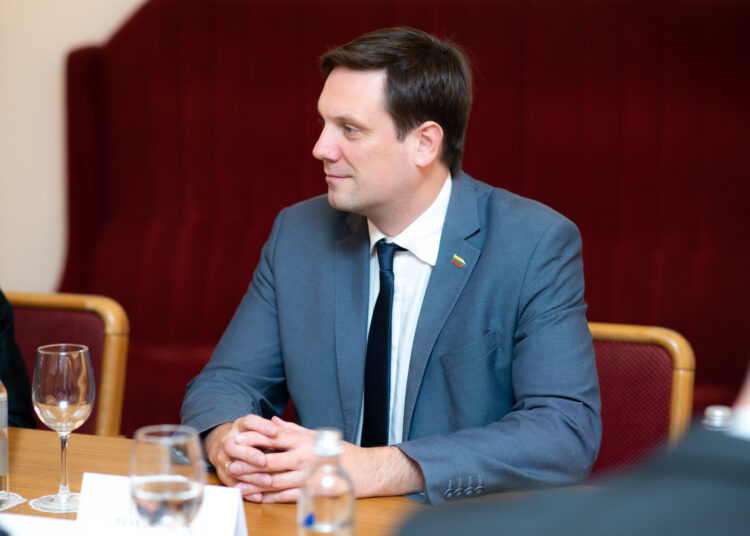 Seimo narys, Demokratų sąjungos „Vardan Lietuvos“ atstovas Tomas Tomilinas mano, jog „informacijos pateikimo ribojimai iš principo yra negatyvus reiškinys“.