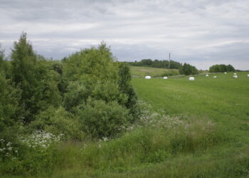 Daugiametes pievas būtina saugoti ir jų nearti, kad ateityje vėl netektų susidurti su šių pievų išlaikymo problema.
Jurgitos JAROŠEVIČIŪTĖS muotr.