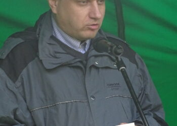 Lietuvos istorijos instituto Lietuvos Didžiosios Kunigaikštystės skyriaus mokslo darbuotojas dr. Tomas Baranauskas įsitikinęs, kad Šeimyniškėlių piliakalnio infrastruktūrą įmanoma sutvarkyti ir be Europos Sąjungos finansinės paramos.