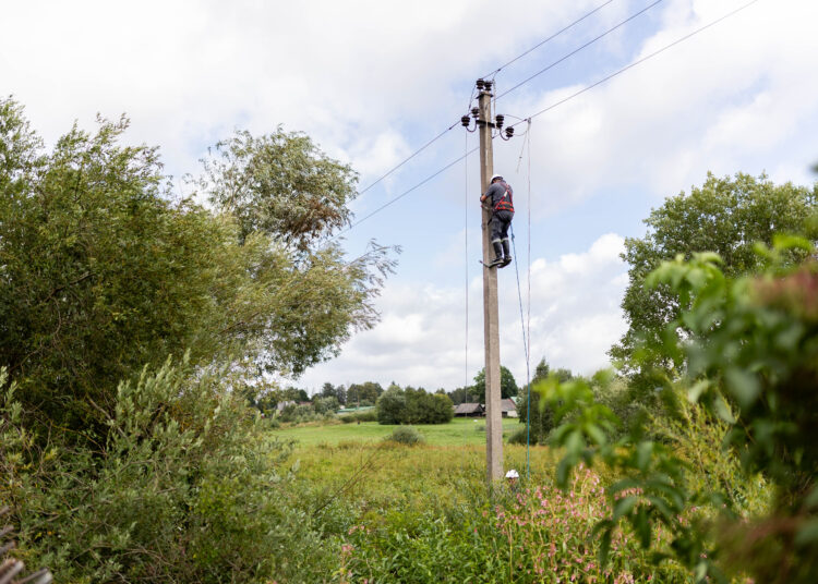 ESO darbuotojai šalina pažeistą elektros tinklą.