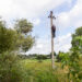 ESO darbuotojai šalina pažeistą elektros tinklą.