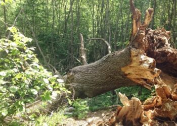 Aukštaitijos saugomų teritorijų nuotrauka