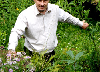 Traupio botanikos sodo įkūrėjas, 20 metų buvęs vienu iš Anykščių rajono vadovų, biologijos mokytojas-ekspertas, Anykščių rajono Garbės pilietis Sigutis Obelevičius sukaupė per 12 tūkstančių augalų rūšių.