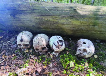 Po Šimonių girią vedžiotų turistų prie upės laukė ir siurprizas – bent penkios, tikėtina, vaikų kaukolės.