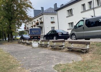 Mediniai suoliukai pastatyti labai seniai, jiems trūksta priežiūros.