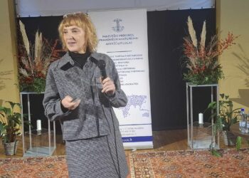 Anykščių rajono savivaldybės Architektūros ir urbanistikos skyriaus vedėja Daiva Gasiūnienė sakė kategoriškai nesutinkanti, kad Anykščių miesto parke trūksta paties parko, tačiau teigė, kad jame trūksta želdinių, o mažoji architektūra yra „pabuvusi“.