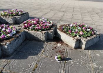 Anykščių rajono savivaldybės nuotr.