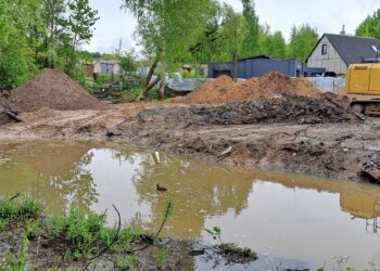 Evelinos Zablockienės nuotraukos