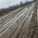 Per vasario 1-ąją vykusias „Žiurkių lenktynes“ buvo suniokoti pasėliai ir kaimo keliukai. Mindaugo GAIGALO nuotr.