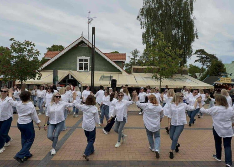 Šokių akimirka iš linijinių šokių festivalio „Draugystės tiltas 2025“.