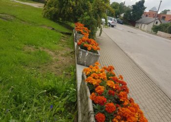 Debeikių bibliotekos nuotr.