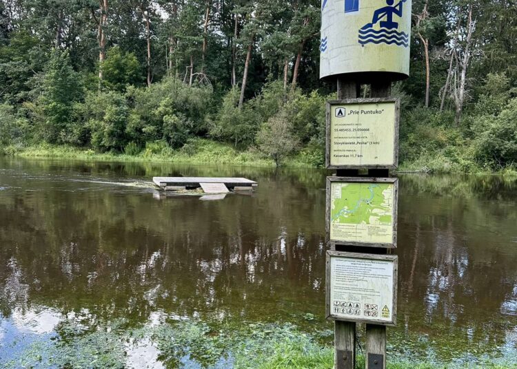 Laimo FERGIZO nuotraukos.