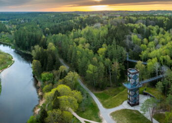 Kasmet Lajų taką aplanko apie 100 tūkstančių žmonių. Tako ilgis yra 300 metrų, statyboms sunaudota 395 tonos metalo ir 1,5 tūkstančio kubinių metrų betono. Projektui skirta 2,5 milijonų eurų parama. Anykščių rajono savivaldybė sumokėjo 87 tūkstančius eurų už techninį projektą.
Valstybinės saugomų teritorijų tarnybos nuotr.