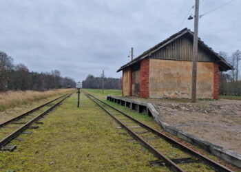 Siaurojo geležinkelio ruožas Panevėžys–Rubikiai – vienintelis išlikęs veikiantis siauruko ruožas Lietuvoje.