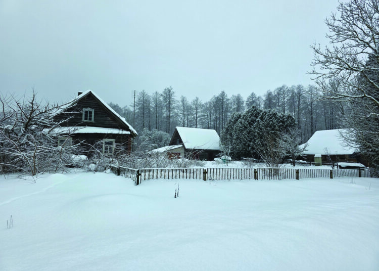Šioje atokioje sodyboje 77-erių metų Kazys Šiaučiūnas gyveno vienas, Debeikių seniūnas jau buvo sutvarkęs dokumentus ir planavo jį kitą dieną vežti į ligoninę, o vėliau galbūt perkelti į globos namus Troškūnuose.