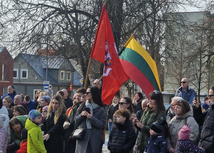 Kai kurie šventės dalyviai atėjo su vėliavomis.