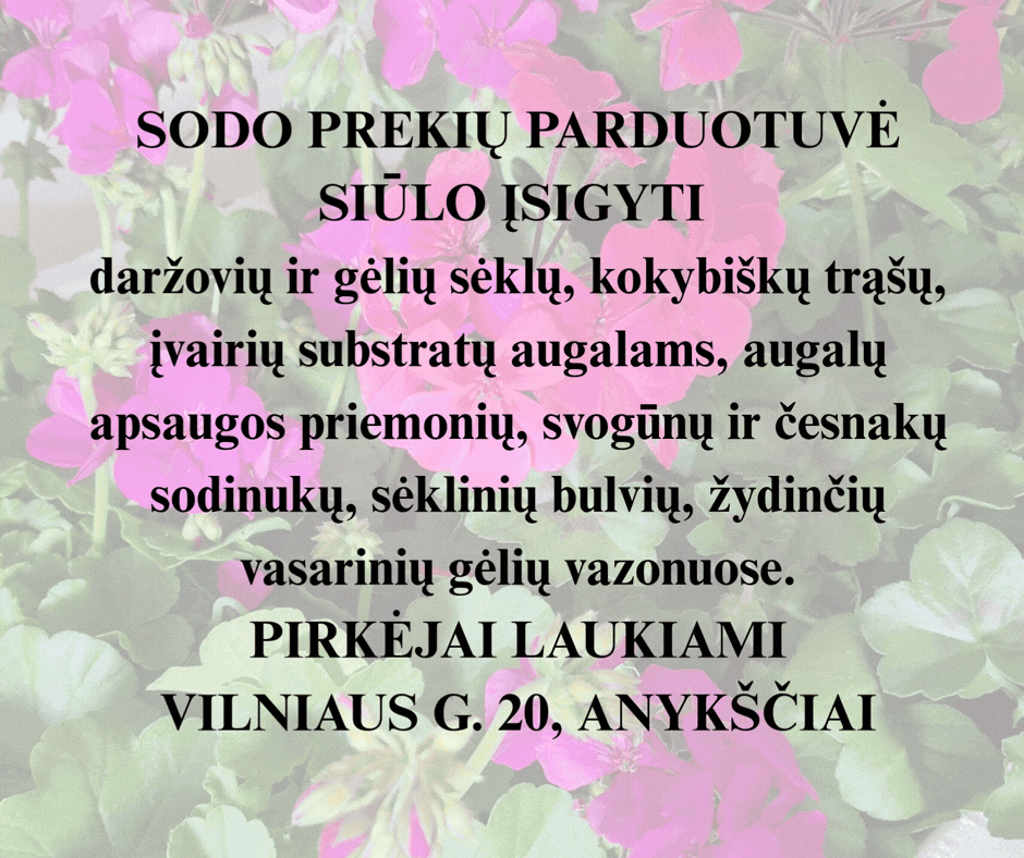 Įspėjimas skaitydamas rizikuojate žinoti! filmukas