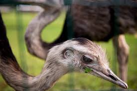 Asociatyvi nuotrauka.