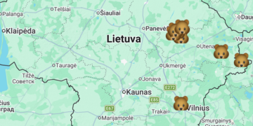 Lietuvoje pastbėtų meškų žemėlapis.